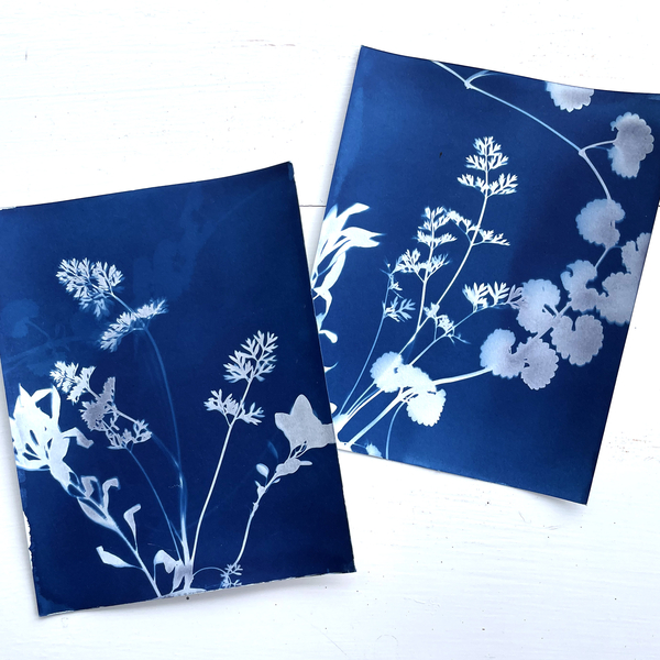 Event image CYANOTYPE PRINTING ON FABRIC AND PAPER